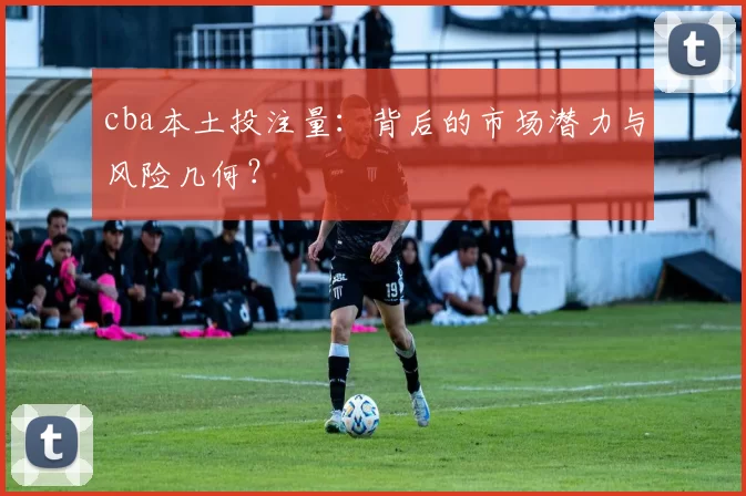 cba本土投注量：背后的市场潜力与风险几何？