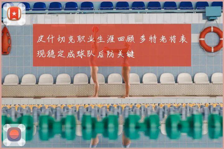 皮什切克职业生涯回顾 多特老将表现稳定成球队后防关键