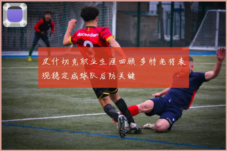 皮什切克职业生涯回顾 多特老将表现稳定成球队后防关键